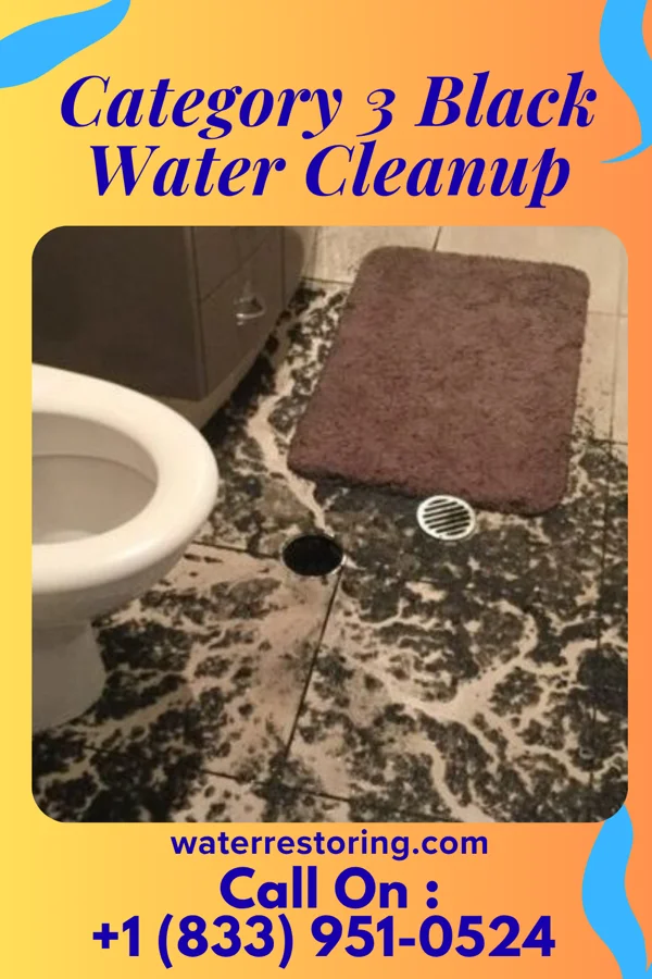 Category 3 Black Water Cleanup in Beaumont, CA